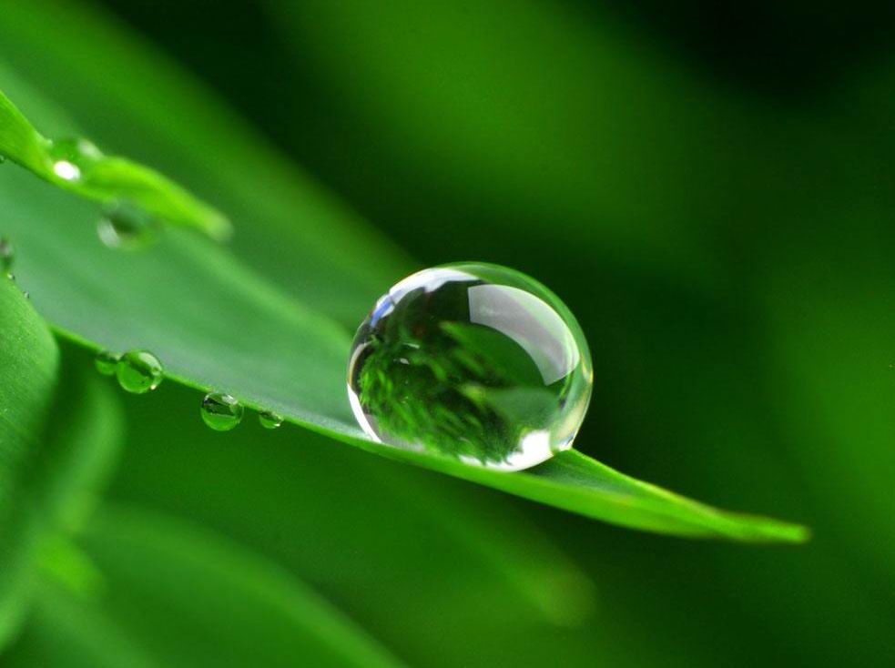 小水珠